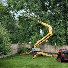 Best Tree Trimming and Pruning  in Biggs, CA