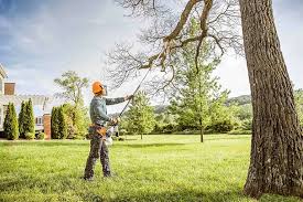 Best Hedge Trimming  in Biggs, CA